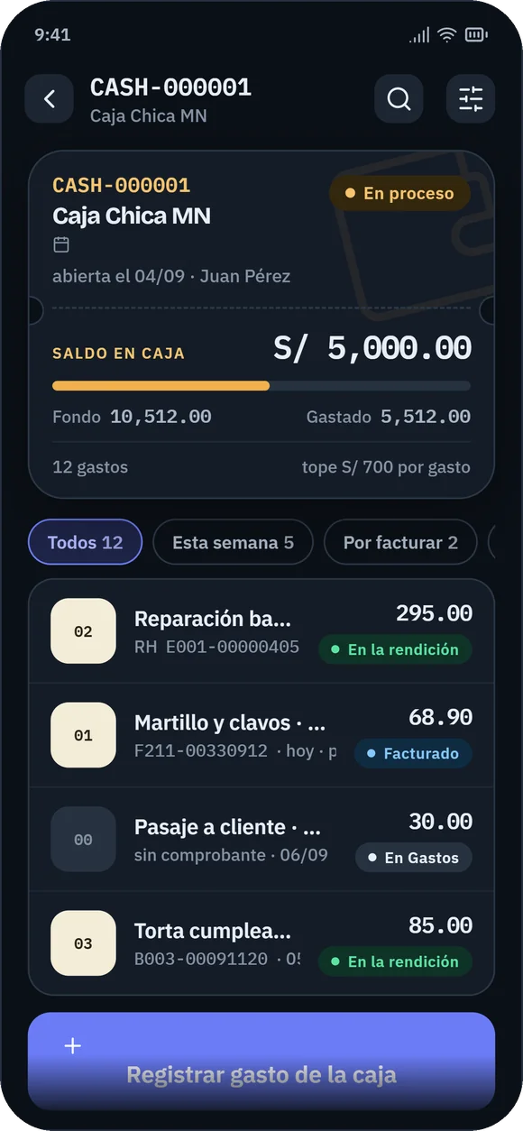 App de gastos con el detalle de una caja chica