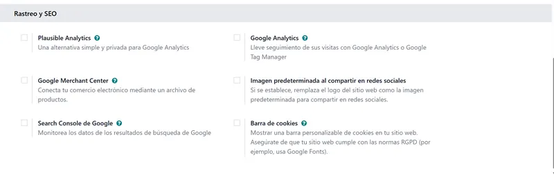 Opción de Google Merchant Center en los ajustes del sitio web